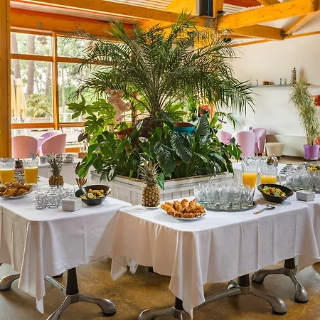 Azureva Club Les Bains Ronce-les-Bains